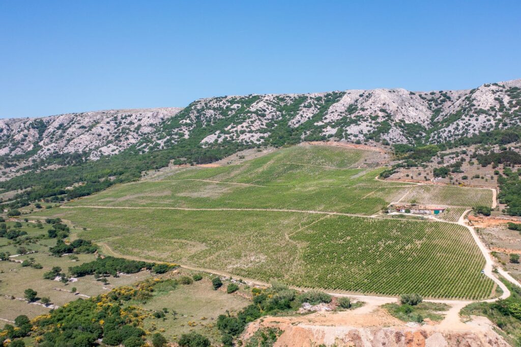 Estate Winery Katunar