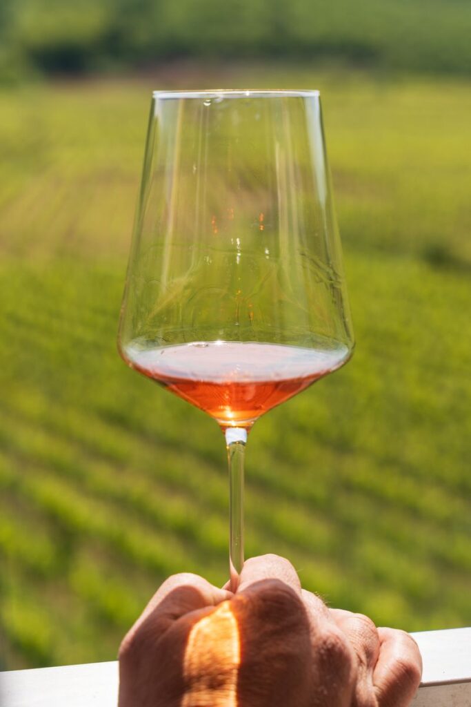 Estate Winery Katunar