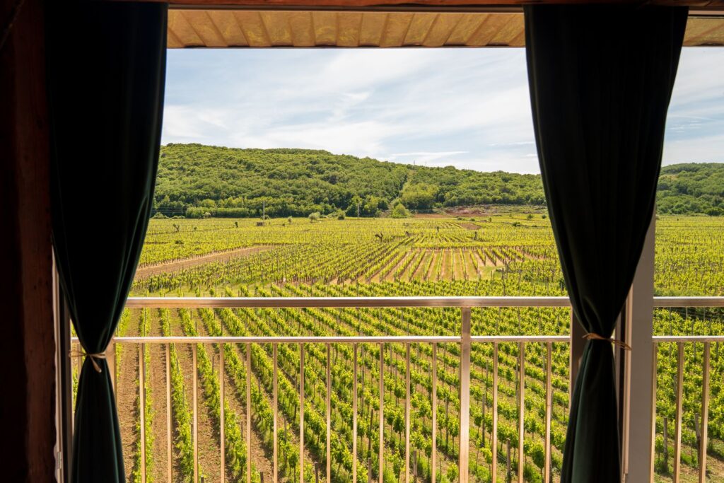 Estate Winery Katunar