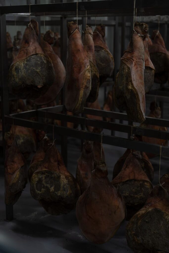 Mesnica – Market Žužić