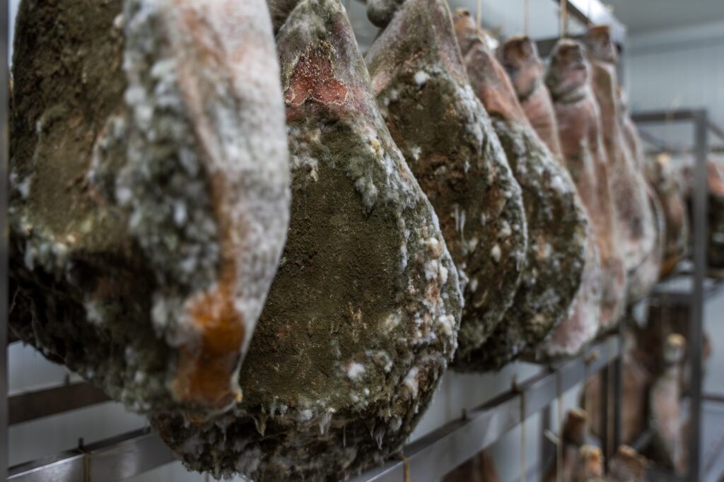 Mesnica – Market Žužić